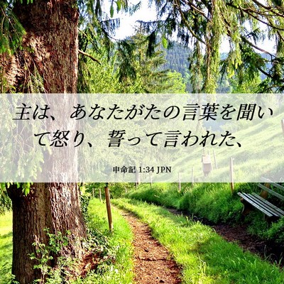 Picture 06 - 申命記 1:34 JPN - 主は、あなたがたの言葉を聞いて怒 - Bible Verse Picture