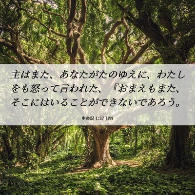 Picture 06 - 申命記 1:37 JPN - 主はまた、あなたがたのゆえに、わ - Bible Verse Picture