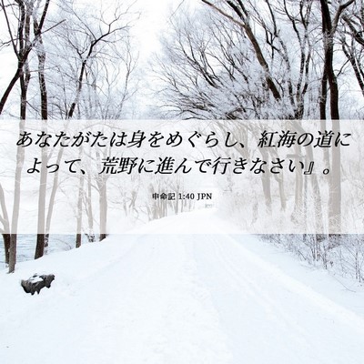 Picture 06 - 申命記 1:40 JPN - あなたがたは身をめぐらし、紅海の - Bible Verse Picture
