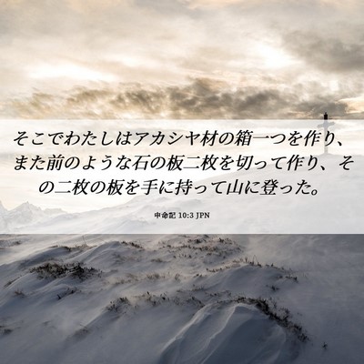 Picture 06 - 申命記 10:3 JPN - そこでわたしはアカシヤ材の箱一つ - Bible Verse Picture