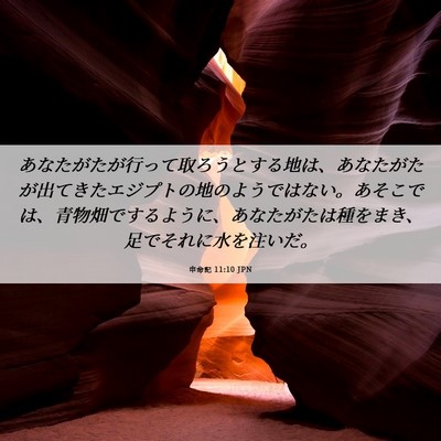 Picture 06 - 申命記 11:10 JPN - あなたがたが行って取ろうとする地 - Bible Verse Picture