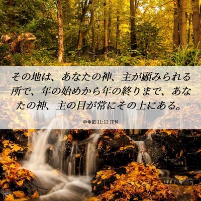 Picture 06 - 申命記 11:12 JPN - その地は、あなたの神、主が顧みら - Bible Verse Picture