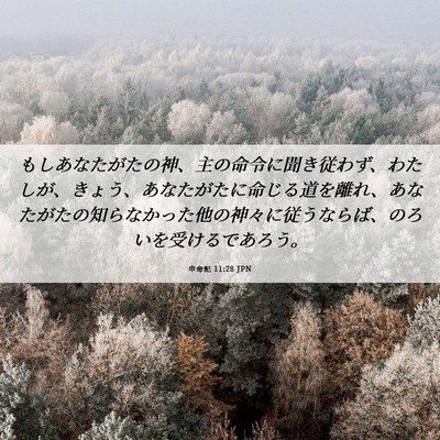 Picture 06 - 申命記 11:28 JPN - もしあなたがたの神、主の命令に聞 - Bible Verse Picture