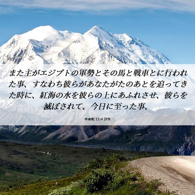 Picture 06 - 申命記 11:4 JPN - また主がエジプトの軍勢とその馬と - Bible Verse Picture