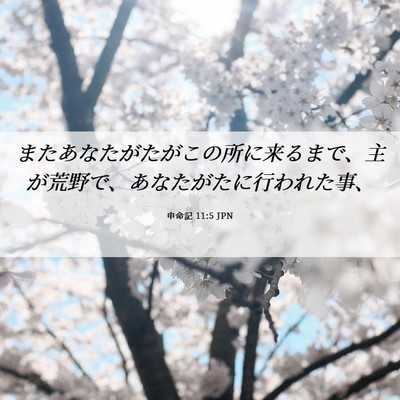 Picture 06 - 申命記 11:5 JPN - またあなたがたがこの所に来るまで - Bible Verse Picture