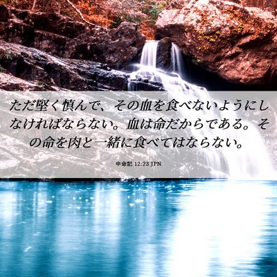 Picture 06 - 申命記 12:23 JPN - ただ堅く慎んで、その血を食べない - Bible Verse Picture