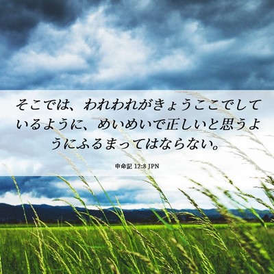 Picture 06 - 申命記 12:8 JPN - そこでは、われわれがきょうここで - Bible Verse Picture