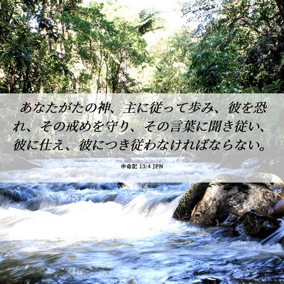 Picture 06 - 申命記 13:4 JPN - あなたがたの神、主に従って歩み、 - Bible Verse Picture