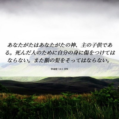 Picture 06 - 申命記 14:1 JPN - あなたがたはあなたがたの神、主の - Bible Verse Picture