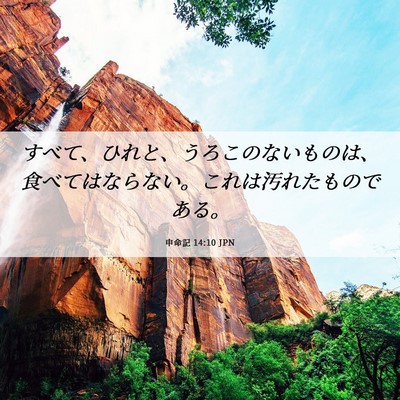 Picture 06 - 申命記 14:10 JPN - すべて、ひれと、うろこのないもの - Bible Verse Picture