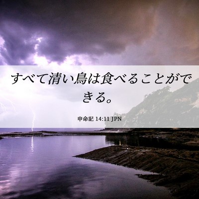 Picture 06 - 申命記 14:11 JPN - すべて清い鳥は食べることができる - Bible Verse Picture