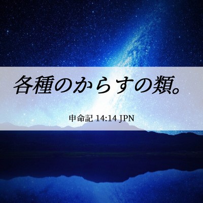 Picture 06 - 申命記 14:14 JPN - 各種のからすの類。 - Bible Verse Picture