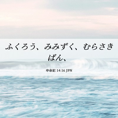 Picture 06 - 申命記 14:16 JPN - ふくろう、みみずく、むらさきばん - Bible Verse Picture