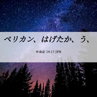 Picture 06 - 申命記 14:17 JPN - ペリカン、はげたか、う、 - Bible Verse Picture