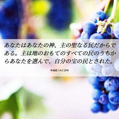 Picture 06 - 申命記 14:2 JPN - あなたはあなたの神、主の聖なる民 - Bible Verse Picture