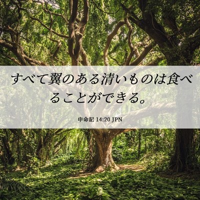 Picture 06 - 申命記 14:20 JPN - すべて翼のある清いものは食べるこ - Bible Verse Picture