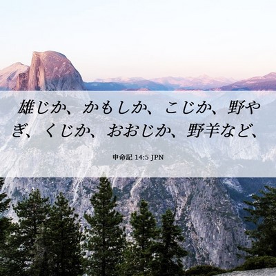 Picture 06 - 申命記 14:5 JPN - 雄じか、かもしか、こじか、野やぎ - Bible Verse Picture
