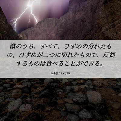 Picture 06 - 申命記 14:6 JPN - 獣のうち、すべて、ひずめの分れた - Bible Verse Picture