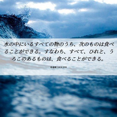 Picture 06 - 申命記 14:9 JPN - 水の中にいるすべての物のうち、次 - Bible Verse Picture