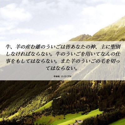 Picture 06 - 申命記 15:19 JPN - 牛、羊の産む雄のういごは皆あなた - Bible Verse Picture
