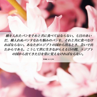 Picture 06 - 申命記 16:3 JPN - 種を入れたパンをそれと共に食べて - Bible Verse Picture