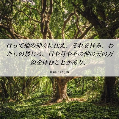 Picture 06 - 申命記 17:3 JPN - 行って他の神々に仕え、それを拝み - Bible Verse Picture