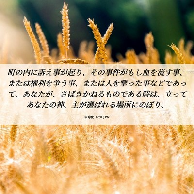 Picture 06 - 申命記 17:8 JPN - 町の内に訴え事が起り、その事件が - Bible Verse Picture