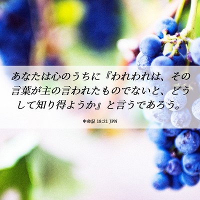 Picture 06 - 申命記 18:21 JPN - あなたは心のうちに『われわれは、 - Bible Verse Picture