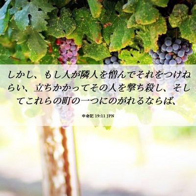 Picture 06 - 申命記 19:11 JPN - しかし、もし人が隣人を憎んでそれ - Bible Verse Picture