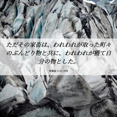 Picture 06 - 申命記 2:35 JPN - ただその家畜は、われわれが取った - Bible Verse Picture