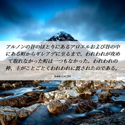Picture 06 - 申命記 2:36 JPN - アルノンの谷のほとりにあるアロエ - Bible Verse Picture