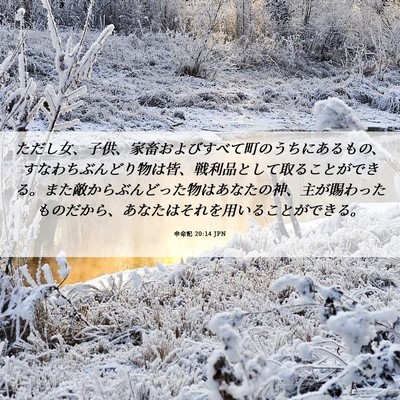 Picture 06 - 申命記 20:14 JPN - ただし女、子供、家畜およびすべて - Bible Verse Picture