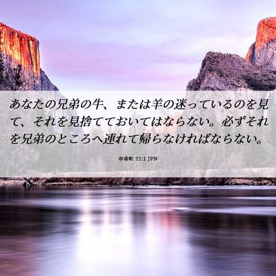 Picture 06 - 申命記 22:1 JPN - あなたの兄弟の牛、または羊の迷っ - Bible Verse Picture