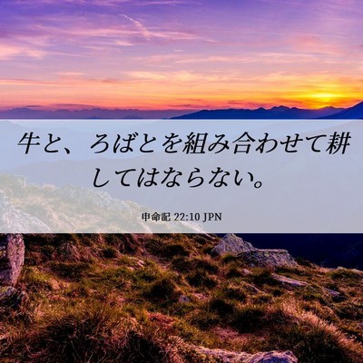 Picture 06 - 申命記 22:10 JPN - 牛と、ろばとを組み合わせて耕して - Bible Verse Picture