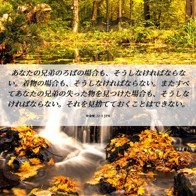 Picture 06 - 申命記 22:3 JPN - あなたの兄弟のろばの場合も、そう - Bible Verse Picture