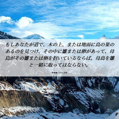 Picture 06 - 申命記 22:6 JPN - もしあなたが道で、木の上、または - Bible Verse Picture