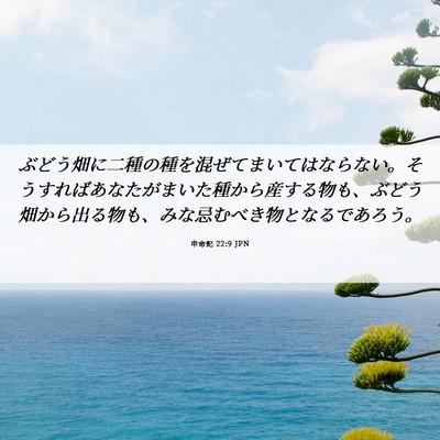 Picture 06 - 申命記 22:9 JPN - ぶどう畑に二種の種を混ぜてまいて - Bible Verse Picture