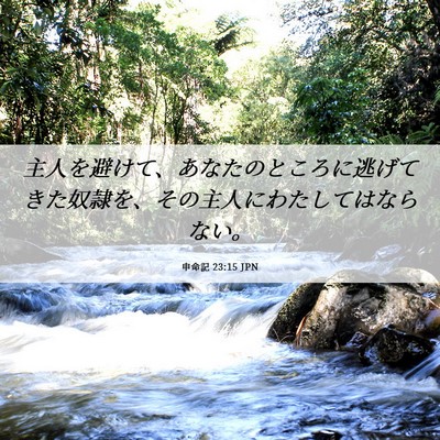 Picture 06 - 申命記 23:15 JPN - 主人を避けて、あなたのところに逃 - Bible Verse Picture
