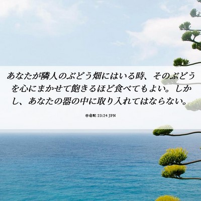 Picture 06 - 申命記 23:24 JPN - あなたが隣人のぶどう畑にはいる時 - Bible Verse Picture