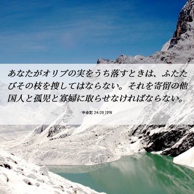 Picture 06 - 申命記 24:20 JPN - あなたがオリブの実をうち落すとき - Bible Verse Picture