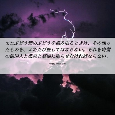 Picture 06 - 申命記 24:21 JPN - またぶどう畑のぶどうを摘み取ると - Bible Verse Picture