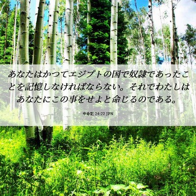 Picture 06 - 申命記 24:22 JPN - あなたはかつてエジプトの国で奴隷 - Bible Verse Picture