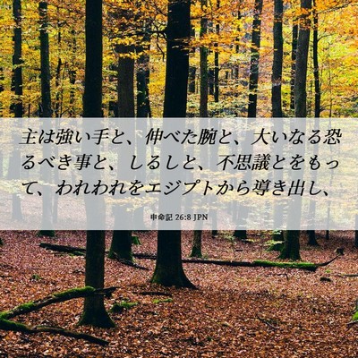 Picture 06 - 申命記 26:8 JPN - 主は強い手と、伸べた腕と、大いな - Bible Verse Picture