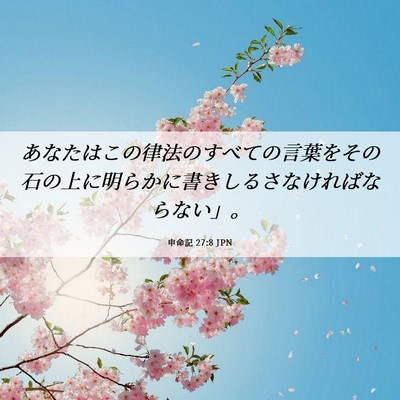 Picture 06 - 申命記 27:8 JPN - あなたはこの律法のすべての言葉を - Bible Verse Picture