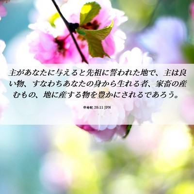 Picture 06 - 申命記 28:11 JPN - 主があなたに与えると先祖に誓われ - Bible Verse Picture