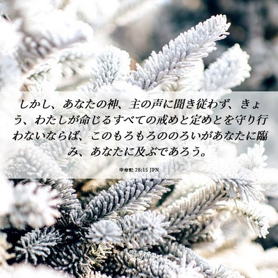 Picture 06 - 申命記 28:15 JPN - しかし、あなたの神、主の声に聞き - Bible Verse Picture