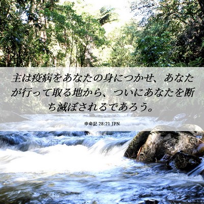 Picture 06 - 申命記 28:21 JPN - 主は疫病をあなたの身につかせ、あ - Bible Verse Picture