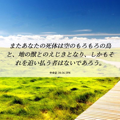 Picture 06 - 申命記 28:26 JPN - またあなたの死体は空のもろもろの - Bible Verse Picture