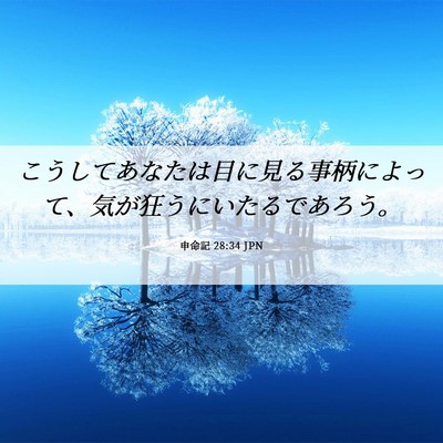 Picture 06 - 申命記 28:34 JPN - こうしてあなたは目に見る事柄によ - Bible Verse Picture