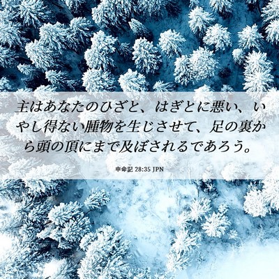 Picture 06 - 申命記 28:35 JPN - 主はあなたのひざと、はぎとに悪い - Bible Verse Picture